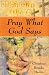 Pray What God Says