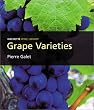 Grape Varieties: A Study of Wine (Hachette wine library)