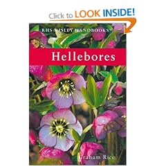 Hellebores (Wisley Handbooks)