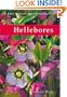 Hellebores