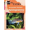 Die neuesten Apistogramma