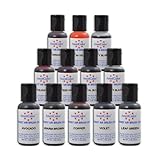 (Only 13 left in stock) Discount for AmeriColor  Amerimist Student Kit Air Brush Food Color 12 Pack Kit
