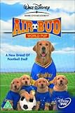 Review Walt Disney Studios Home Entertainm  / Air Bud: World Pup