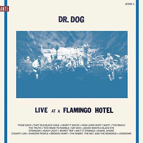 Dr. Dog - Live At A Flamingo Hotel (2-lp Set, Includes Download Card) - Zortam Music