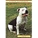Staffordshire Bull Terrier