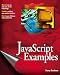JavaScript Examples Bible: The Essential Companion to JavaScript Bible (Bible (Wiley))