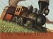 Search : The Prairie Train