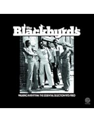 Walking in Rhythm: Essential Selection 1973 -1980