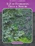 Successful gardening: evergreen trees & shrubs