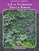 Book Successful gardening: evergreen trees & shrubs (Successful Gardening)