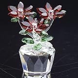 CRYSTAL POINSETTA