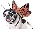 Animal Planet PET20101 Butterfly Dog Costume, Large