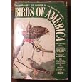 Birds of America University Society Gilbert Pearson by Gilbert Pearson