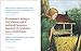 Clues for Real Life: The Classic Wit & Wisdom of Nancy Drew