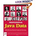 Professional Java Data: RDBMS, JDBC, SQLJ, OODBMS, JNDI, LDAP, Servlets, JSP, WAP, XML,...