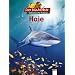 Usborne Beginners Series