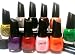 Santee 10 PC Nail Polish Set