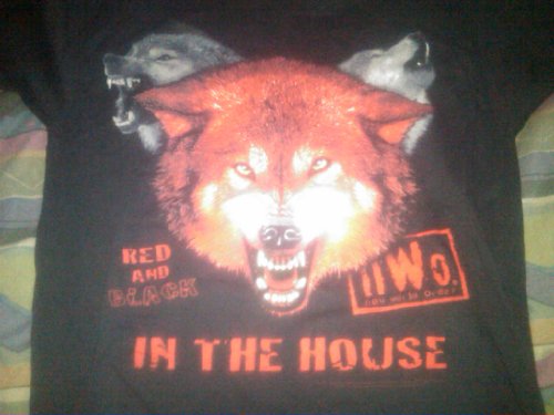 nwo wolfpack