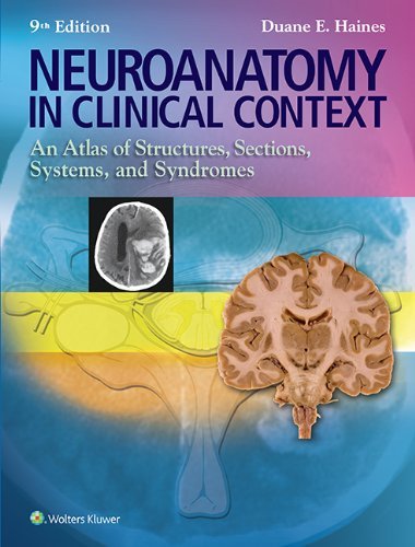 By Duane E. Haines PhD Neuroanatomy in Clinical Context: An Atlas of Structures, Sections, Systems, and Syndromes (Neuroana (Ninth, North American Edition)