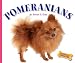   - Pomeranians (Domestic Dogs)