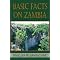 Central Africa's History and Culture