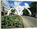Mombasa, Kenya - 40 Inch Canvas Print (101 cm) by Robert Harding