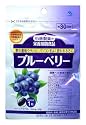 小林製薬の栄養補助食品 ブルーベリー