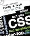 Savoir tout faire pour le Web avec les CSS (1C�d�rom)