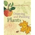 Drawing and Painting Plants