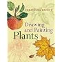Drawing and Painting Plants