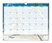 Blue Sky 2016 Wall Calendar, Wire-O Binding, 15