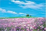 1000ピース 高原のコスモス 1000-374