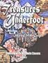 Treasures Underfoot : Quilting With Manhole Covers - Round 2