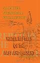 Water Reptiles of the Past and Present