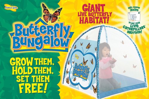 Butterfly Bungalow