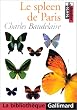 Le Spleen de Paris