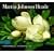 Martin Johnson Heade