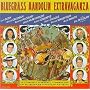 Bluegrass Mandolin Extravaganza
