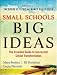 Small Schools, Big Ideas: The Essential Guide to Successful School Transformation
