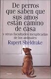 De perros que saben que sus amos están camino de casa