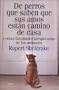 De perros que saben que sus amos est�n camino de casa