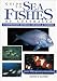 Guide to Sea Fishes of Australia: A comprehensive reference for divers and fishermen