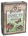 Search : Professor Noggin's Insects and Spiders Game