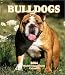 Bulldogs Weekly 2004 Calendar