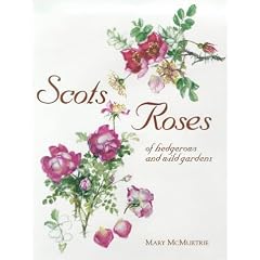 Scots Roses of Hedgerows and Wild Gardens