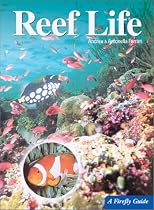 Reef Life