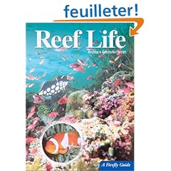 Reef Life