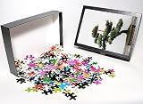 Photo Jigsaw Puzzle of Tree with prayer ribbon, Jade Buddha temple, Shanghai, China, Asia from Robert Harding