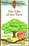 The life of the tree