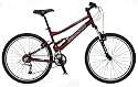 Delta Sport Full Suspension Unisex Bike (26 -Inch Wheels)